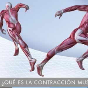 CONTRACCIÓN MUSCULAR