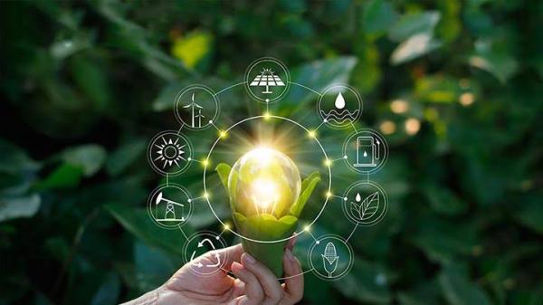 Cuidado del medio ambiente 