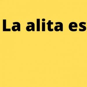 LEY ALITA