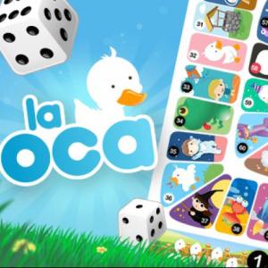 Oca de meta cognición 
