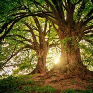 El mundo y su naturaleza