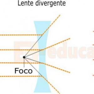 LENTES