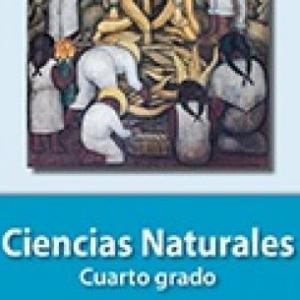 ACTIVIDADES DE REFORZAMIENTO