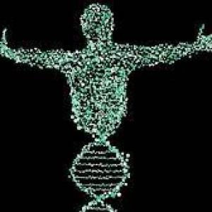 La Genetica y sus estructuras