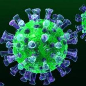 Imagen de portada del videojuego educativo: El coronavirus , de la temática Biología