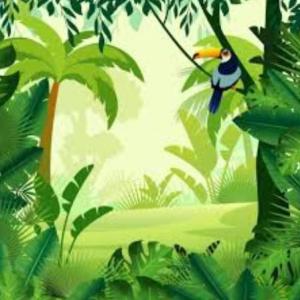 Nos divertimos en la selva