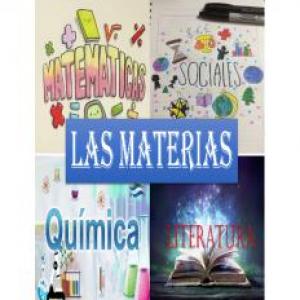 Las 4 materias
