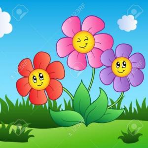El color de las flores