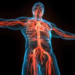 ciencia y salud