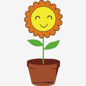 Conociendo las Plantas