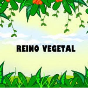 importancia del reino vegetal