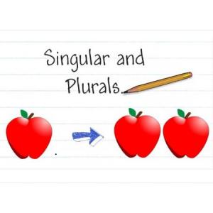 Imagen de portada del videojuego educativo: REGULAR PLURAL NOUNS, de la temática Idiomas