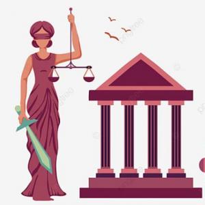 PRINCIPIOS Y GENERALIDADES DEL JUICIO ORAL PENAL