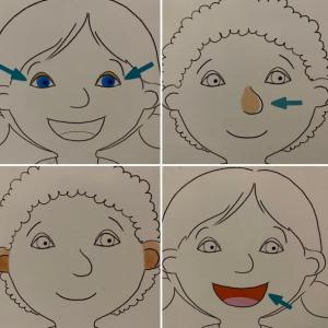 FACE PARTS