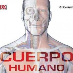 Cuerpo Humano