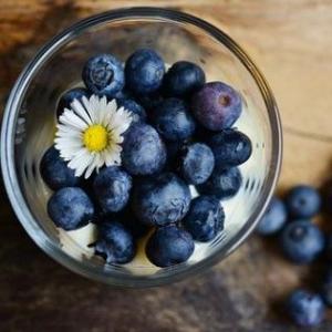 Vitaminas y hormonas