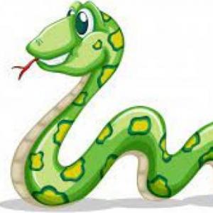 Portada del juego snake cartoon – Idiomas
