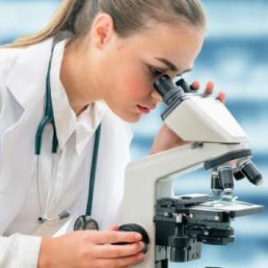 MICROSCOPIO