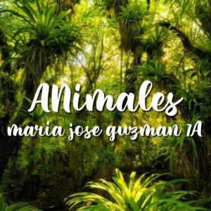 Animales