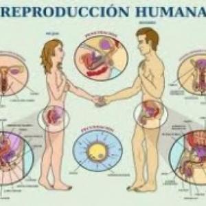 ETS Y MÉTODOS ANTICONCEPTIVOS