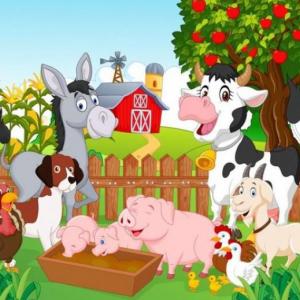 Los animales se clasifican en