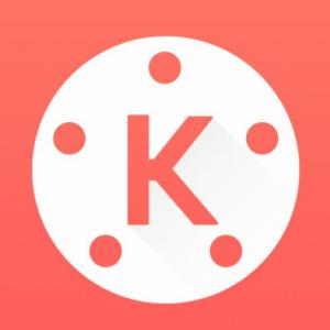 Juego Didactico sobre Kinemaster