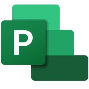 preguntas de publisher
