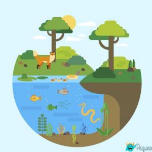 ECOSISTEMAS