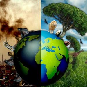 Cuidado del medio ambiente.