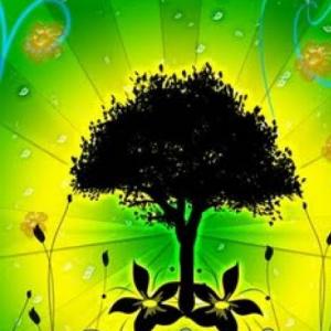 Conciencia ambiental