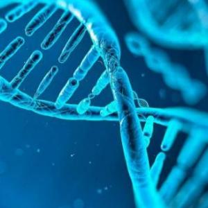 Conceptos básicos de genética