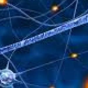 Clasificación de oraciones bimembres y unimembres