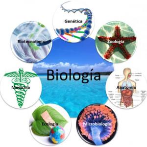 Duchazo Biologico