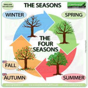 The seasons