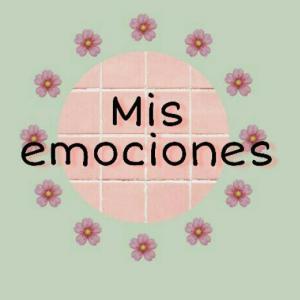 LAS EMOCIONES