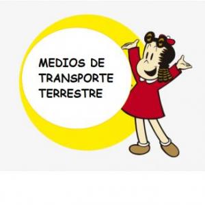 MEDIOS DE TRANSPORTE TERRESTRE