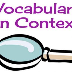 Vocabulary in Context