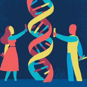 ¿QUE TANTO SABES DE GENETICA?
