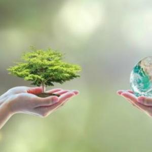CUIDAR EL MEDIO AMBIENTE