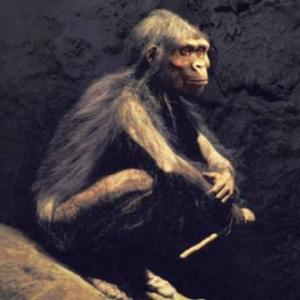 Juego trivial de la prehistoria y la historia