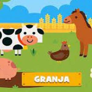 animales