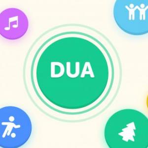 PRINCIPIOS DEL DUA