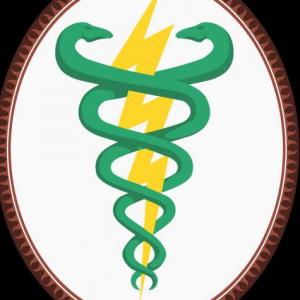 TECHNICAL LANGUAGE IN PHYSICAL THERAPY