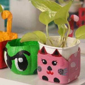 Cuidado del ambiente