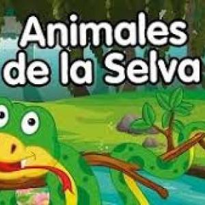 Animales de la selva 1ro de primaria