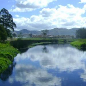 río Bogotá trivias