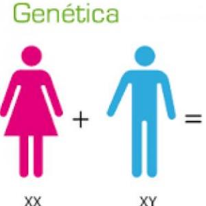 Patrones hereditarios 