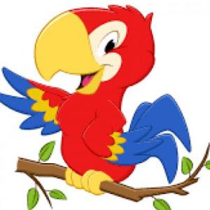 animals trivia 