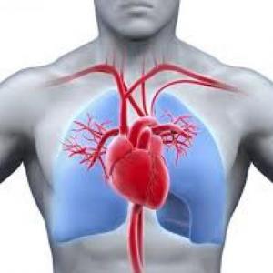 conociendo nuestro corazon