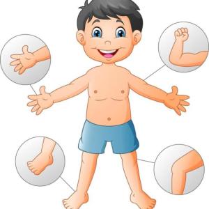 Reconociendo las partes de nuestro cuerpo.